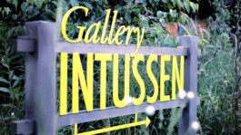 Galerie Intussen