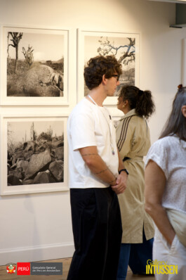 Galerie Intussen